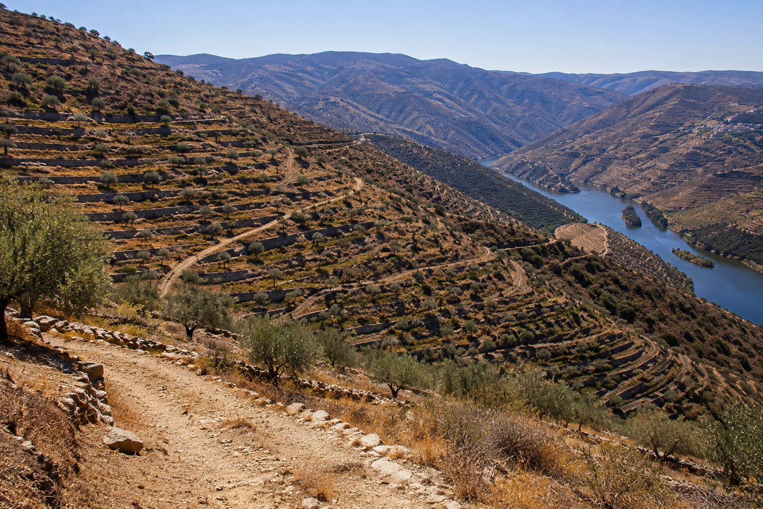 Côa Valley Engravings