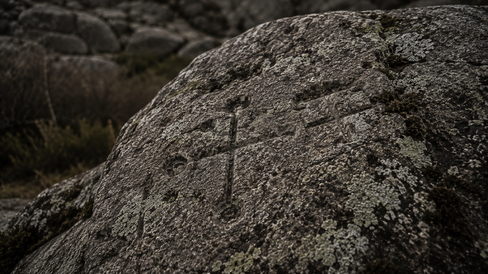 The Hall of Star Maps — ASHWANA world reconstruction